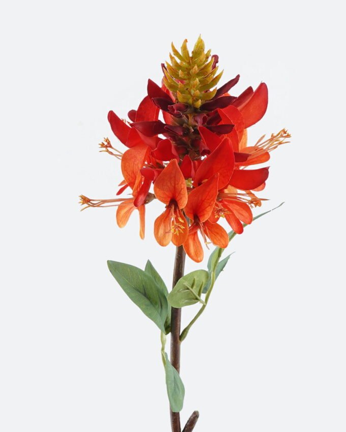 Artificial Flower 12*12*68cm Erythrina indica single stem GS-71224023-O1 2024May YeahFlower is one of Chinese leading OEM manufacturers and exporters , supplying the silk flowers, wholesale artificial trees