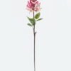 Artificial Flower 12*12*68cm Erythrina indica single stem GS-71224023-P1 2024May YeahFlower is one of Chinese leading OEM manufacturers and exporters , supplying the silk flowers, wholesale artificial trees