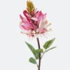 Artificial Flower 12*12*68cm Erythrina indica single stem GS-71224023-P1 2024May YeahFlower is one of Chinese leading OEM manufacturers and exporters , supplying the silk flowers, wholesale artificial trees