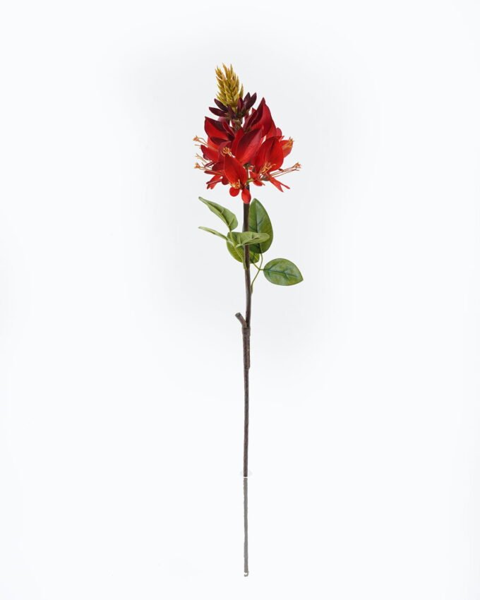 Artificial Flower 12*12*68cm Erythrina indica single stem GS-71224023-R1 2024May YeahFlower is one of Chinese leading OEM manufacturers and exporters , supplying the silk flowers, wholesale artificial trees