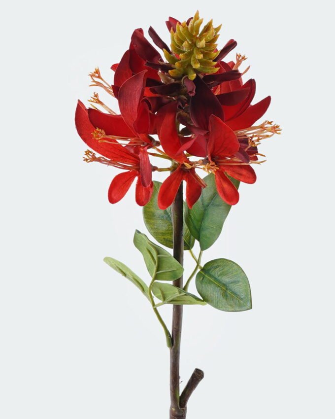 Artificial Flower 12*12*68cm Erythrina indica single stem GS-71224023-R1 2024May YeahFlower is one of Chinese leading OEM manufacturers and exporters , supplying the silk flowers, wholesale artificial trees