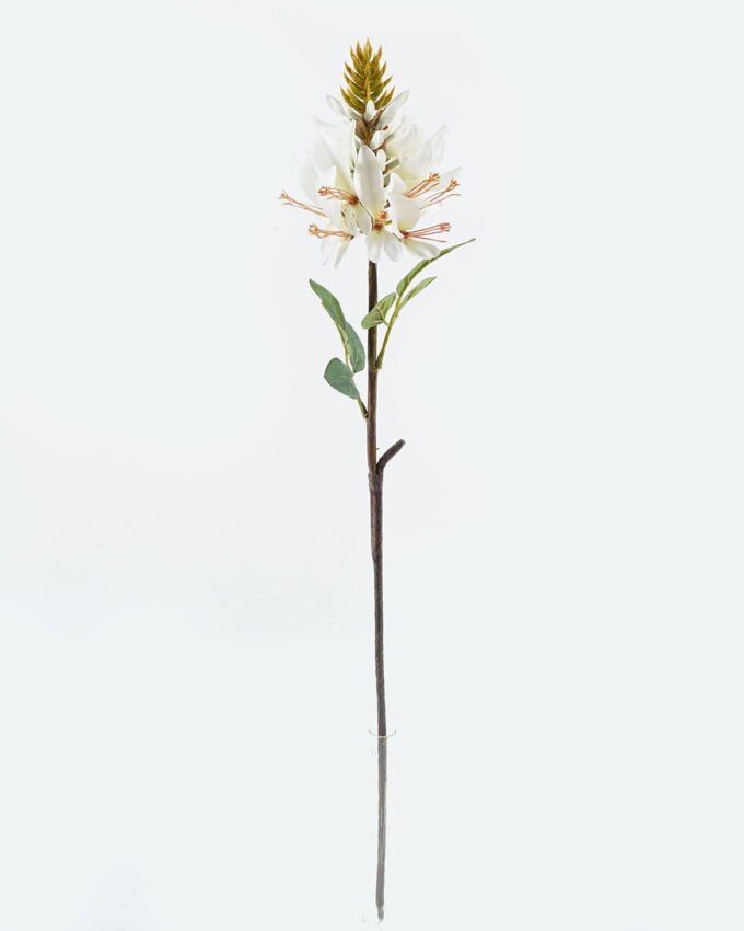 Artificial Flower 12*12*68cm Erythrina indica single stem GS-71224023 2024May YeahFlower is one of Chinese leading OEM manufacturers and exporters , supplying the silk flowers, wholesale artificial trees