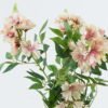 Artificial Flower 32*32*60cm Flower*5 bush GS-74424018 Flowers Bush YeahFlower is one of Chinese leading OEM manufacturers and exporters , supplying the silk flowers, wholesale artificial trees