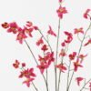 Artificial Flower Flower 9 single stem GS-73324006-R2_2 Artificial Flower 35*35*100cm Flower *9 single stem GS-73324006-R2 2024May YeahFlower is one of Chinese leading OEM manufacturers and exporters , supplying the silk flowers, wholesale artificial trees