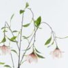 Artificial Flower Flower single stem GS-74424006-P1_4 Artificial Flower 27*27*145cm Flower single stem GS-74424006-P1 Single Flowers 3,000+ sqm showroom with thousands of artificial flowers, plants & trees ready for global sourcing.