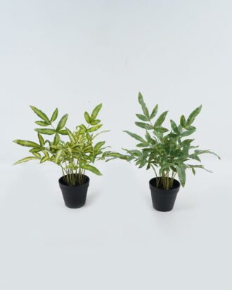 Artificial Flower 30*30*45cm Grass*7 in pp pot GS-14524003 2024May YeahFlower is one of Chinese leading OEM manufacturers and exporters , supplying the silk flowers, wholesale artificial trees