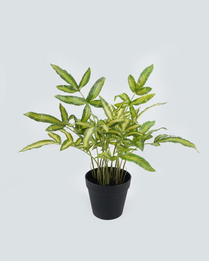 Artificial Flower Grass 7 in pp pot GS-14524003_4 Artificial Flower 30*30*45cm Grass*7 in pp pot GS-14524003 2024May YeahFlower is one of Chinese leading OEM manufacturers and exporters , supplying the silk flowers, wholesale artificial trees