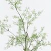 Artificial Flower 28*28*90cm Grass single stem GS-71224013 2024May YeahFlower is one of Chinese leading OEM manufacturers and exporters , supplying the silk flowers, wholesale artificial trees