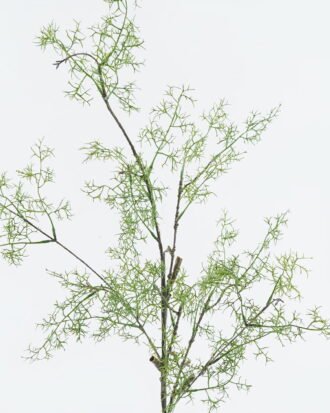 Artificial Flower 28*28*90cm Grass single stem GS-71224013 2024May YeahFlower is one of Chinese leading OEM manufacturers and exporters , supplying the silk flowers, wholesale artificial trees Artificial Flower 28*28*90cm Grass single stem GS-71224013 2024May YeahFlower is one of Chinese leading OEM manufacturers and exporters , supplying the silk flowers, wholesale artificial trees