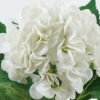 Artificial Flower 34*34*43cm Hydrangea bush GS-73524004-W1 Flowers Bush YeahFlower is one of Chinese leading OEM manufacturers and exporters , supplying the silk flowers, wholesale artificial trees