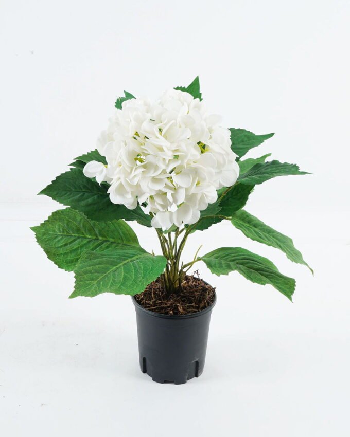 Artificial Flower 34*25*45cm Hydrangea in PP pot GS-73524009 Potted Flowers&Plants YeahFlower is one of Chinese leading OEM manufacturers and exporters , supplying the silk flowers, wholesale artificial trees