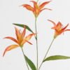 Artificial Flower Lily 3 single stem GS-73324011-O1_4 Artificial Flower 28*28*100cm Lily *3 single stem GS-73324011-O1 2024May YeahFlower is one of Chinese leading OEM manufacturers and exporters , supplying the silk flowers, wholesale artificial trees