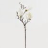 Artificial Flower Mangnolia single stem GS-58824035-W1_1 Artificial Flower 17*17*50cm Mangnolia single stem GS-58824035-W1 2024May YeahFlower is one of Chinese leading OEM manufacturers and exporters , supplying the silk flowers, wholesale artificial trees