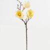 Artificial Flower Mangnolia single stem GS-58824035-Y1_1 Artificial Flower 17*17*50cm Mangnolia single stem GS-58824035-Y1 2024May YeahFlower is one of Chinese leading OEM manufacturers and exporters , supplying the silk flowers, wholesale artificial trees