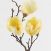 Artificial Flower Mangnolia single stem GS-58824035-Y1_4 Artificial Flower 17*17*50cm Mangnolia single stem GS-58824035-Y1 2024May YeahFlower is one of Chinese leading OEM manufacturers and exporters , supplying the silk flowers, wholesale artificial trees