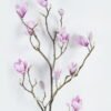 Artificial Flower Mangnolia single stem GS-71224010-R1_6 Artificial Flower 25*25*110cm Mangnolia single stem GS-71224010-R1 2024May YeahFlower is one of Chinese leading OEM manufacturers and exporters , supplying the silk flowers, wholesale artificial trees