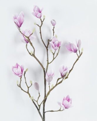 Artificial Flower 25*25*110cm Mangnolia single stem GS-71224010-R1 2024May YeahFlower is one of Chinese leading OEM manufacturers and exporters , supplying the silk flowers, wholesale artificial trees Artificial Flower 25*25*110cm Mangnolia single stem GS-71224010-R1 2024May YeahFlower is one of Chinese leading OEM manufacturers and exporters , supplying the silk flowers, wholesale artificial trees
