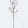 Artificial Flower Mangnolia single stem GS-71224010-Z1_3 Artificial Flower 25*25*110cm Mangnolia single stem GS-71224010-Z1 2024May YeahFlower is one of Chinese leading OEM manufacturers and exporters , supplying the silk flowers, wholesale artificial trees