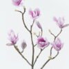 Artificial Flower Mangnolia single stem GS-71224028-R1_6 Artificial Flower 16*16*92cm Mangnolia single stem GS-71224028-R1 2024May YeahFlower is one of Chinese leading OEM manufacturers and exporters , supplying the silk flowers, wholesale artificial trees