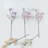 Artificial Flower Mangnolia single stem GS-71224028_1 Artificial Flower 16*16*92cm Mangnolia single stem GS-71224028 2024May YeahFlower is one of Chinese leading OEM manufacturers and exporters , supplying the silk flowers, wholesale artificial trees