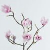 Artificial Flower Mangnolia single stem GS-71224028_2 Artificial Flower 16*16*92cm Mangnolia single stem GS-71224028 2024May YeahFlower is one of Chinese leading OEM manufacturers and exporters , supplying the silk flowers, wholesale artificial trees