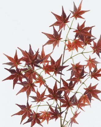 Artificial Flower 29*29*72cm Maple leaf single stem GS-71224008 2024May YeahFlower is one of Chinese leading OEM manufacturers and exporters , supplying the silk flowers, wholesale artificial trees Artificial Flower 29*29*72cm Maple leaf single stem GS-71224008 2024May YeahFlower is one of Chinese leading OEM manufacturers and exporters , supplying the silk flowers, wholesale artificial trees