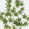 Artificial Flower 29*29*73cm Maple leaf single stem GS-71224018-G1 2024May YeahFlower is one of Chinese leading OEM manufacturers and exporters , supplying the silk flowers, wholesale artificial trees