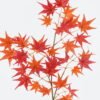 Artificial Flower Maple leaf single stem GS-71224018-R1_4 Artificial Flower 29*29*73cm Maple leaf single stem GS-71224018-R1 2024May YeahFlower is one of Chinese leading OEM manufacturers and exporters , supplying the silk flowers, wholesale artificial trees