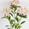 Artificial Flower 23*23*70cm Michelia*3 single stem GS-74424003 Single Flowers YeahFlower is one of Chinese leading OEM manufacturers and exporters , supplying the silk flowers, wholesale artificial trees