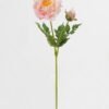 Artificial Flower Peony single stem GS-58824011-P2_1 Artificial Flower 15*15*58cm Peony single stem GS-58824011-P2 2024May YeahFlower is one of Chinese leading OEM manufacturers and exporters , supplying the silk flowers, wholesale artificial trees