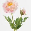 Artificial Flower Peony single stem GS-58824011-P2_5 Artificial Flower 15*15*58cm Peony single stem GS-58824011-P2 2024May YeahFlower is one of Chinese leading OEM manufacturers and exporters , supplying the silk flowers, wholesale artificial trees