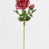 Artificial Flower Peony single stem GS-58824011-R1_1 Artificial Flower 15*15*58cm Peony single stem GS-58824011-R1 2024May YeahFlower is one of Chinese leading OEM manufacturers and exporters , supplying the silk flowers, wholesale artificial trees