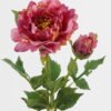 Artificial Flower Peony single stem GS-58824011-R1_6 Artificial Flower 15*15*58cm Peony single stem GS-58824011-R1 2024May YeahFlower is one of Chinese leading OEM manufacturers and exporters , supplying the silk flowers, wholesale artificial trees