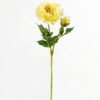 Artificial Flower 15*15*58cm Peony single stem GS-58824011 2024May YeahFlower is one of Chinese leading OEM manufacturers and exporters , supplying the silk flowers, wholesale artificial trees