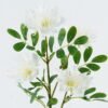 Artificial Flower 25*25*70cm Protea cynaroides*4 single stem GS-74424014 2024Jun YeahFlower is one of Chinese leading OEM manufacturers and exporters , supplying the silk flowers, wholesale artificial trees