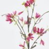 Artificial Flower 30*30*85cm Pyrostegia venusta single stem GS-71224007-R1 2024May YeahFlower is one of Chinese leading OEM manufacturers and exporters , supplying the silk flowers, wholesale artificial trees