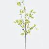 Artificial Flower Pyrostegia venusta single stem GS-71224007_3 Artificial Flower 30*30*85cm Pyrostegia venusta single stem GS-71224007 2024May YeahFlower is one of Chinese leading OEM manufacturers and exporters , supplying the silk flowers, wholesale artificial trees