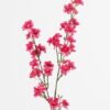Artificial Flower 18*18*87cm Sakura *2  single stem GS-73324013-R2 2024May YeahFlower is one of Chinese leading OEM manufacturers and exporters , supplying the silk flowers, wholesale artificial trees