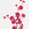 Artificial Flower Sakura single stem GS-73324012_2 Artificial Flower 16*16*56cm Sakura single stem GS-73324012 2024May YeahFlower is one of Chinese leading OEM manufacturers and exporters , supplying the silk flowers, wholesale artificial trees