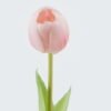 Artificial Flower 7*7*39cm Tulipa single stem GS-24524001-P2 2024May YeahFlower is one of Chinese leading OEM manufacturers and exporters , supplying the silk flowers, wholesale artificial trees