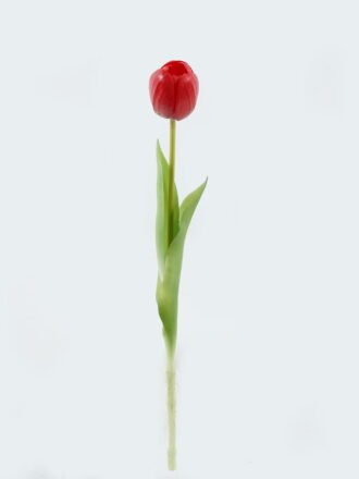 Artificial Flower 7*7*39cm Tulipa single stem GS-24524001-P2 Single Flowers 3,000+ sqm showroom with thousands of artificial flowers, plants & trees ready for global sourcing.