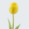 Artificial Flower 7*7*39cm Tulipa single stem GS-24524001-Y1 2024May YeahFlower is one of Chinese leading OEM manufacturers and exporters , supplying the silk flowers, wholesale artificial trees