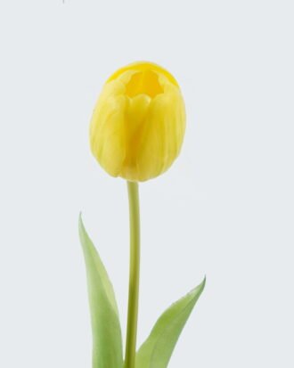 Artificial Flower 7*7*39cm Tulipa single stem GS-24524001-Y1 2024May YeahFlower is one of Chinese leading OEM manufacturers and exporters , supplying the silk flowers, wholesale artificial trees