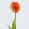 Artificial Flower Tulipa single stem GS-24524001_2 Artificial Flower 7*7*39cm Tulipa single stem GS-24524001 2024May YeahFlower is one of Chinese leading OEM manufacturers and exporters , supplying the silk flowers, wholesale artificial trees
