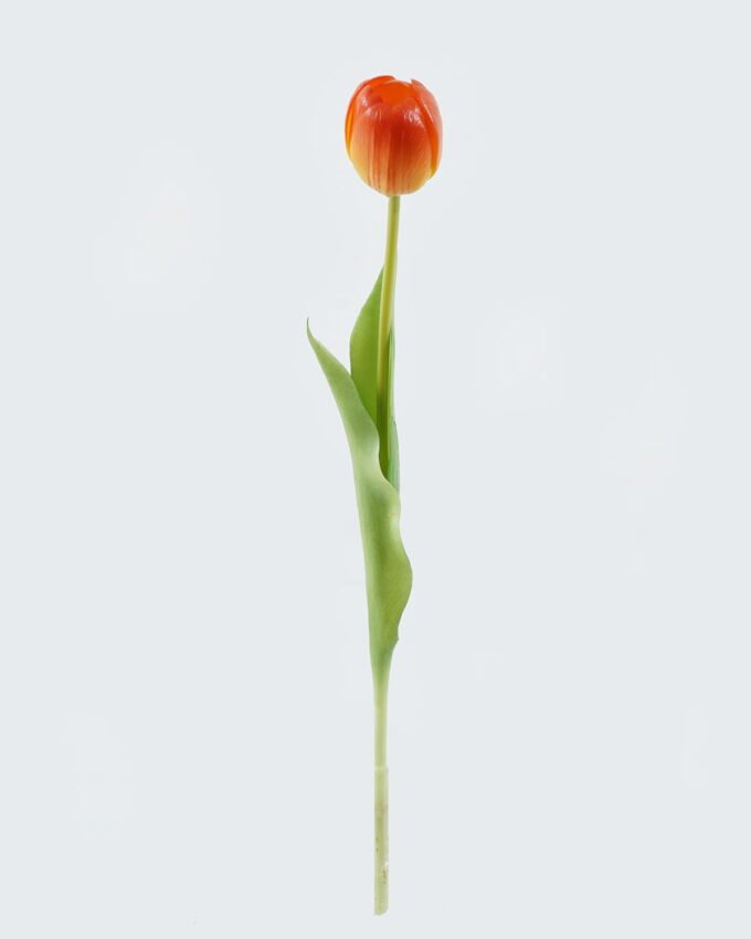 Artificial Flower Tulipa single stem GS-24524001_3 Artificial Flower 7*7*39cm Tulipa single stem GS-24524001 2024May YeahFlower is one of Chinese leading OEM manufacturers and exporters , supplying the silk flowers, wholesale artificial trees