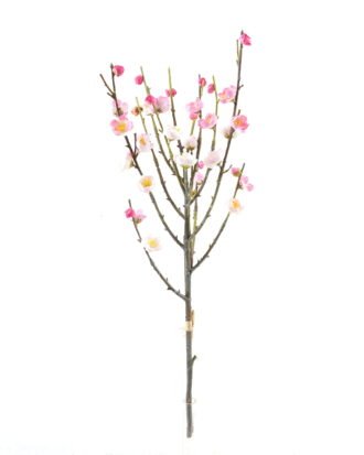 Artificial Flower 20*20*60cm plum blossom *2 bouquet GS-30024008 2024Jun YeahFlower is one of Chinese leading OEM manufacturers and exporters , supplying the silk flowers, wholesale artificial trees