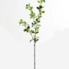 Artificial Plant Apple leaf single stem GS-58824020_6 Artificial Plant 18*18*94cm Apple leaf single stem GS-58824020 2024May YeahFlower is one of Chinese leading OEM manufacturers and exporters , supplying the silk flowers, wholesale artificial trees