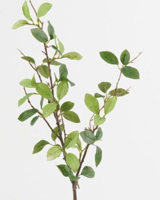 Artificial Plant 15*15*78cm Apple leaf single stem GS-58824021 2024May YeahFlower is one of Chinese leading OEM manufacturers and exporters , supplying the silk flowers, wholesale artificial trees Artificial Plant 15*15*78cm Apple leaf single stem GS-58824021 2024May YeahFlower is one of Chinese leading OEM manufacturers and exporters , supplying the silk flowers, wholesale artificial trees