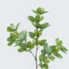 Artificial Plant 15*15*88cm Bauhinia leaves *3 single stem GS-74524001 2024Jun YeahFlower is one of Chinese leading OEM manufacturers and exporters , supplying the silk flowers, wholesale artificial trees