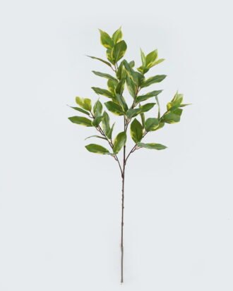 Artificial Plant 15*15*88cm Daphne *4 single stem GS-74524002-G3 2024Jun YeahFlower is one of Chinese leading OEM manufacturers and exporters , supplying the silk flowers, wholesale artificial trees